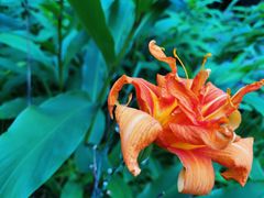 -苏州河梦清园环保主题公园