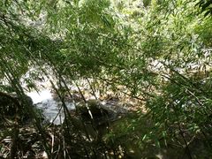 -三爪仑观音岩