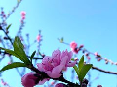 -船政文化景区-罗星塔公园