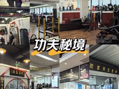 -温鉴良实用咏春拳