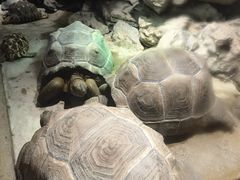 -杭州野生动物世界