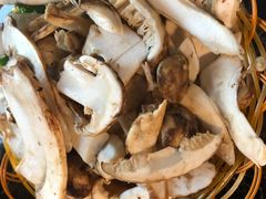 -菌海森林·非遗野生菌火锅(西山区滇池路摩根道店)
