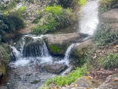 -中国茶叶博物馆(双峰馆区)