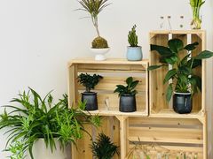 -菲拉拉漫温泉(东环路店)