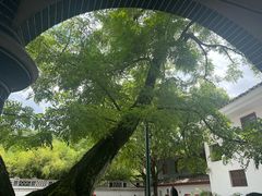 -遵义会议纪念馆