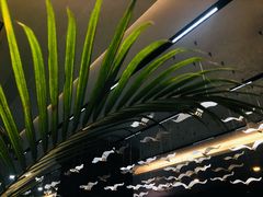 -新廊桥(原科华廊桥店)