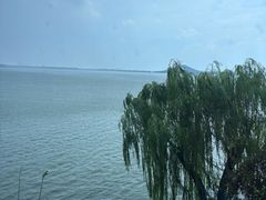 -湖滨客舍·湖北菜