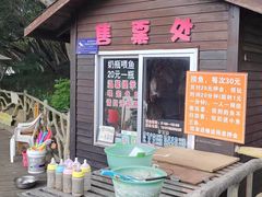 -青枫公园