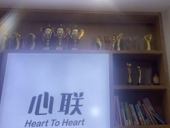 -心联形象设计·流星染