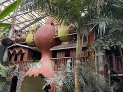 -呀路古热带植物园