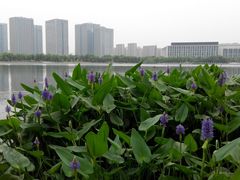 -尚贤河湿地