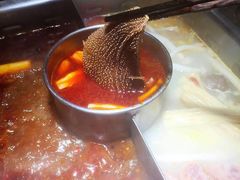 -大渝火锅(苏州西城永捷店)