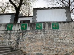 -北京鹫峰国家森林公园