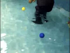 -Goku PET SHOP宠物视觉生活馆(双井店)