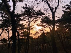 -香山公园