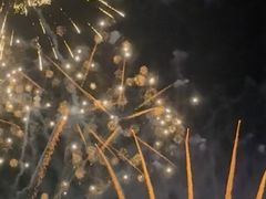 -花博汇(知音花月夜)