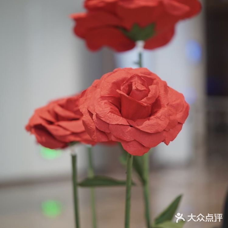 打卡了长沙新开的高空法式餐厅！ 