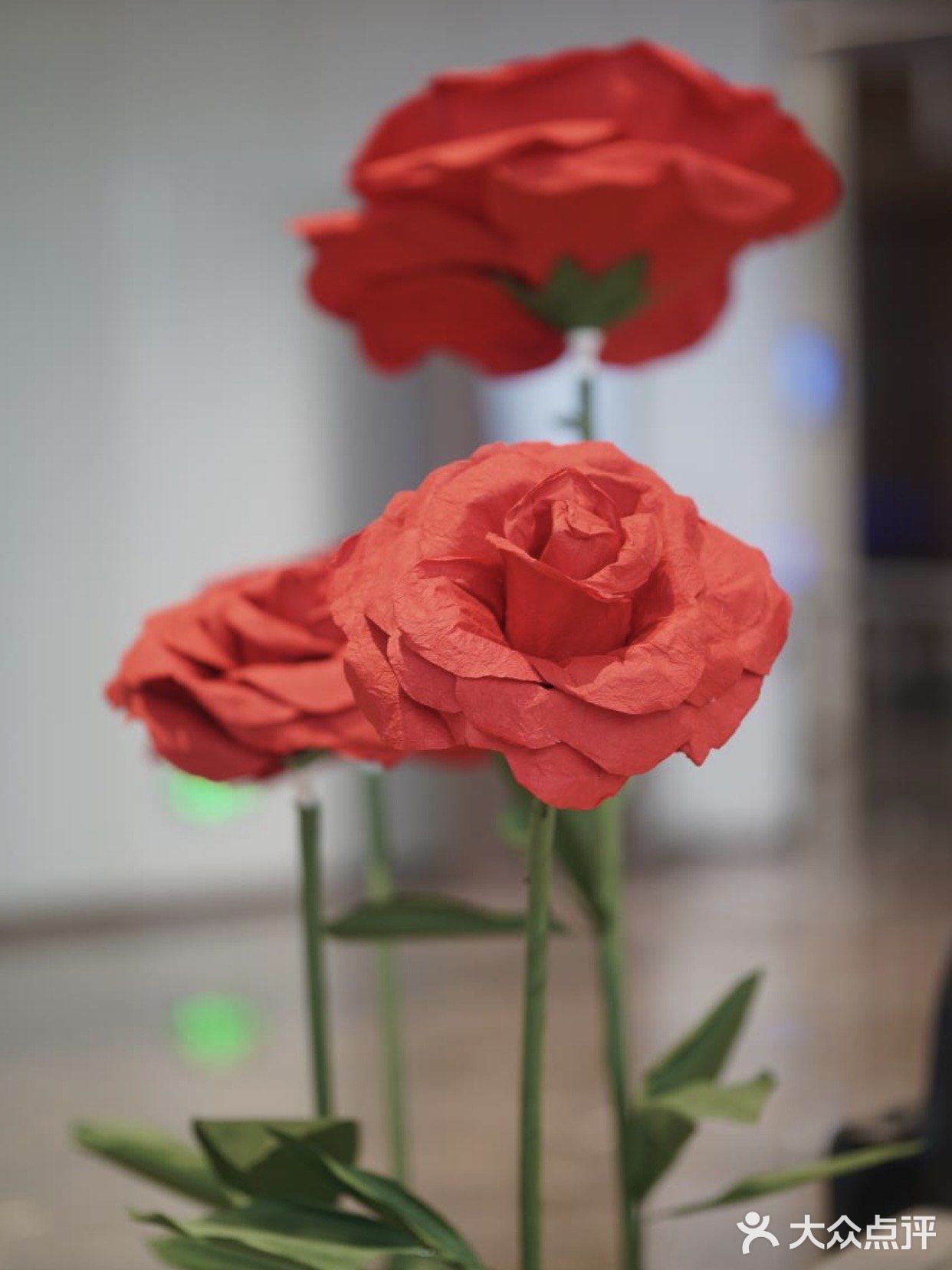 打卡了长沙新开的高空法式餐厅！ 