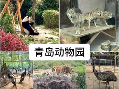 -青岛动物园