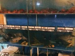 水产区-小俩口烧烤东北菜(双井店)