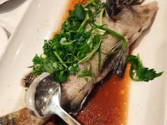 -富园海鲜酒家(佐敦店)