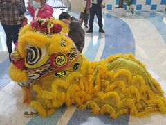 -重庆国际马戏城