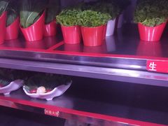 -清真军邺·金富苑肥牛(石坡街旗舰店)