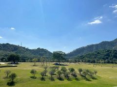 -风云岭森林公园