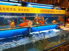 水产区-芭菲盛宴·环球美食(袁家岗店)