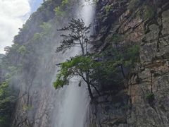 -青峰峡国家森林公园