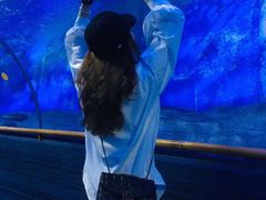 -厦门海底世界
