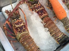 龙虾-Red Lobster