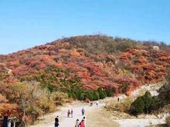 -鬼笑石后山停车场