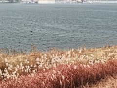 -北京金海湖景区