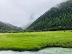 -稻城亚丁景区-冲古草甸