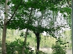 -廊坊市自然公园
