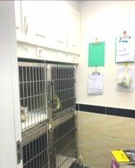 -安安宠医·安宠宠物医院