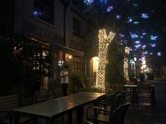 -两棵枇杷树