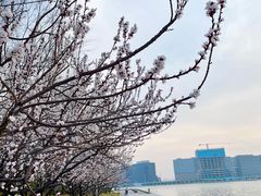 -北龙湖湿地公园