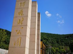 -铁山坪森林公园