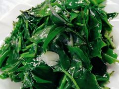 野生竹叶菜-黔人百味.贵州菜