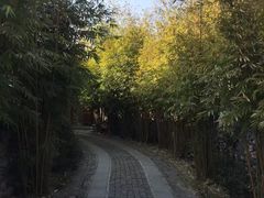 景点-崇阳三特浪口温泉