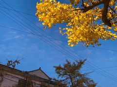 -雨花胜境