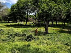 -卡塞拉自然公园