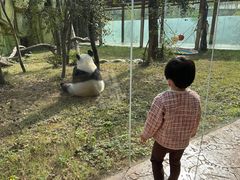 -南京汤山紫清湖生态旅游温泉度假区