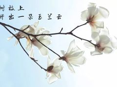 -大连理工大学(凌水校区)
