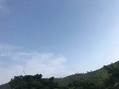 -盐洲岛