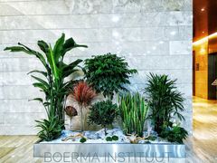 -荷兰布尔玛国际花艺学院