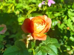 -天目湖御水温泉·度假酒店