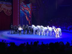 -珠海横琴长隆《卡卡虎奇遇记》